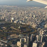 羽田～大阪伊丹楽しかったJAL101便搭乗記、エッこれタダに近い関西ツアースタート編