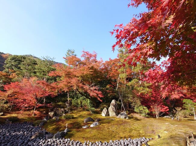 京都に2泊したあとは嵐山の紅葉狩りに出かけました。<br />紅葉シーズン真っただ中の土曜日、人出も多く大混雑でした。<br />嵐山の紅葉といえば真っ先に挙げられる天龍寺や宝厳院の紅葉に感動し、少し人ごみを避けて大覚寺まで行ってみました。<br />紅葉も見ごろを迎え、色鮮やかな紅葉の中を散策できました。<br /><br />□11/17 東寺ライトアップ<br />□11/18 清水寺(朝)、東福寺(朝)、永観堂、南禅寺、金戒光明寺、清水寺(午後)、高台寺、東福寺(夜間拝観)<br />■11/19 天龍寺、宝厳院、渡月橋、大覚寺