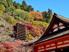 あをによし 多武峰～明日香逍遥④談山神社（比叡神社本殿・閼伽井屋・神廟拝所・総社本殿）