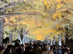 【11/16 国分寺へ出張】昭和記念公園　秋の夜散歩2022