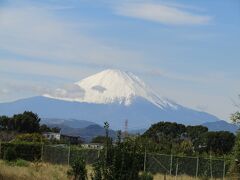 相模川河川敷から見る富士山（寒川町）