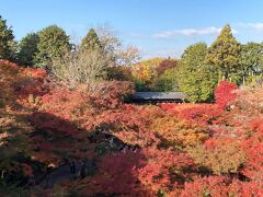 秋の京都2022　Day2 京都市内