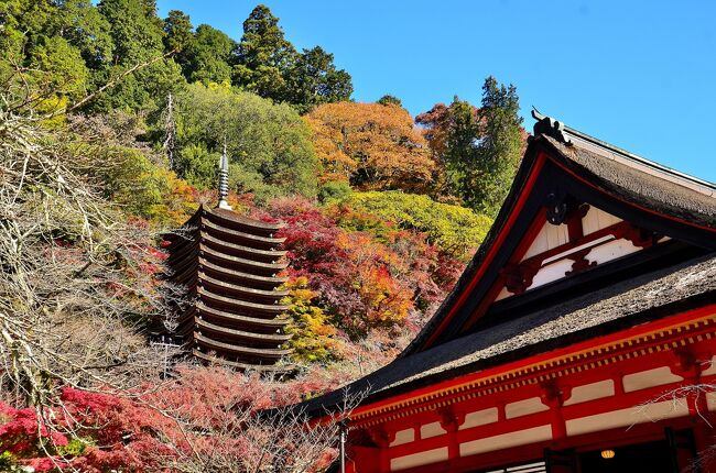 今回は西エリアを中心としたレポートです。<br />比叡神社本殿は比叡山から迎え入れられた談山神社の中興の祖 増賀上人にまつわる社です。増賀上人はストイックなほどに「まことの人」を通した僧だったようで多くのエピソードを残しています。この社は、天台宗 比叡山延暦寺との関係の深さだけでなく、同じ藤原氏の氏寺である法相宗 大本山興福寺に度々攻められた原因を今に伝えています。日本にはキリスト教とイスラム教のような宗教戦争はなかったと言われますが、異なる仏教宗派の間で凄惨な焼き打ちが繰り返されていたのは事実です。<br />閼伽井屋は定恵和尚が法華経を講じた時に龍王の出現があったと伝わるスピリチュアルな雰囲気を湛えた井戸です。<br />神廟拝所では鎌足公御神像の左脇侍を務める「勝軍地蔵」が気になりましたので深堀してみました。足利尊氏が「軍神」として篤く信仰したようですが、どうやら談山神社が所蔵する『日輪御影』は勝軍地蔵の誕生秘話を描いた作品のようです。この絵画から勝軍地蔵が発する戦う神仏のイデオロギーが読み解けるそうです。