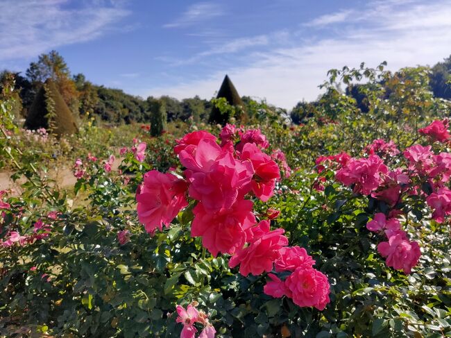 全国旅行支援を利用して友達と１泊２日の伊豆旅行へ。<br />１日目→バナナワニ園、熱川温泉<br />(https://ssl.4travel.jp/tcs/t/editalbum/edit/11791696/)<br />２日目→河津バガテル公園