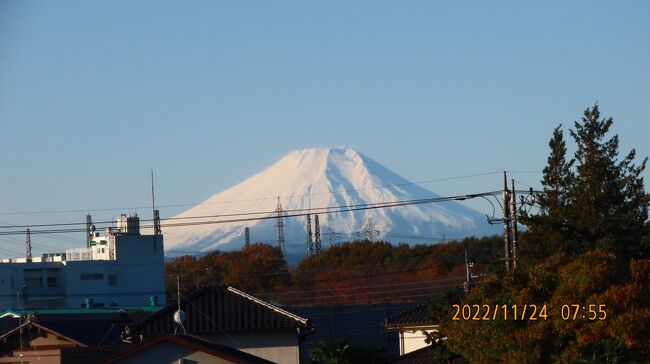 11月24日、午前7時50分過ぎに、ふじみ野市よりくっきりとした富士山が見られました。<br /><br /><br /><br />*写真はくっきりとした富士山