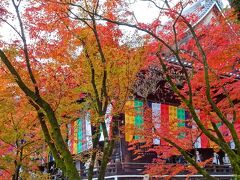 そうだ、京都へ行こう／２０２２秋【定番の紅葉スポットとちょっぴり大阪】