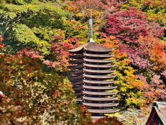 あをによし 多武峰～明日香逍遥⑤談山神社（龍神社・談山・御破裂山・祓戸社・神幸橋）