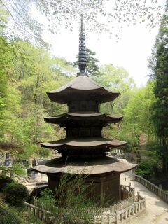 信濃路　三重の塔めぐり 安楽寺・大法寺・信濃国分寺編