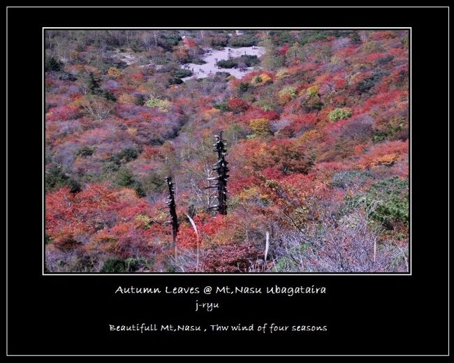 ☆２０２２年の紅葉狩りのスタートは那須岳から。<br />私は福島県民ですが我が家から一番近くて<br />真っ先に紅葉の見頃を迎えるのが栃木県北部の那須岳です。<br />福島県北部の一切経山＆魔女の瞳の紅葉もほぼ同時期なので<br />毎年どちらを幕開けにしようか悩んでいます。<br />今回、那須岳を選んだのは風速の予報を重要視したからです。<br />紅葉だけなら強風でも無い限り<br />どちらでもOKなのですが、魔女の瞳は風があると<br />理想的なコバルトブルーの火口湖が見られないで<br />美しい魔女の瞳を見るなら無風の日に限ります。<br /><br />てな訳で今年は那須岳を幕開けに選んだのですが<br />出発当日は前夜からの雨が上がらず<br />那須岳の駐車場で雨が止むまで車中で１時間も待機、<br />ようやく雨は上がったものの山も紅葉も濃いガスの中。<br />さらに踏んだり蹴ったりでカメラのトラブルまで・・・・<br /><br />