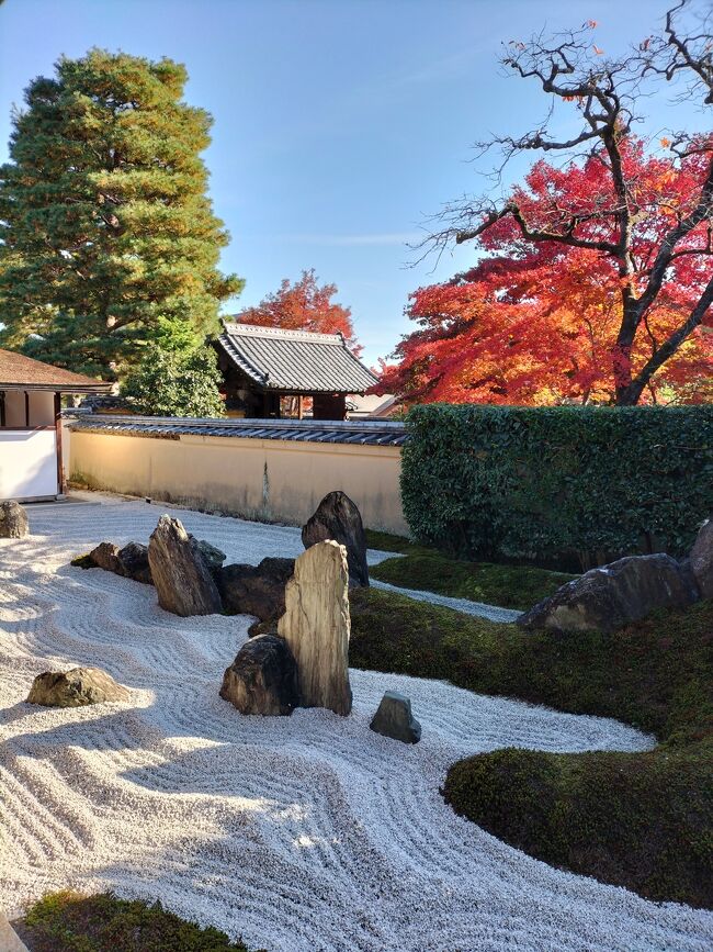 「星ふるさと阿智村」というキャッチフレーズの長野県阿智村にある昼神温泉と、基本3食ラーメンばかり食べに行き、ついでに神社仏閣の紅葉を眺める京都への2泊3日旅です。前後編に分けまして、後編は3日目の京都散策の様子です。<br /><br />※前編はこちら↓<br />https://4travel.jp/travelogue/11793439