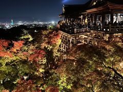 全国旅行支援を使って弾丸京都1泊2日　あまりお得感を感じなかった！　しかし、紅葉は最高！！