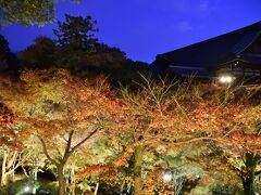 シニアの２０２２年　紅葉の季節ですねっ［１４］　紅葉ライトアップ№２　東福寺