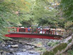 全国旅行支援バスツアー　２　伊豆修善寺