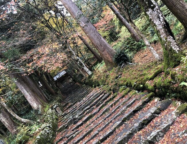 京都・奈良・兵庫・滋賀の１０の紅葉名所をワイドにめぐる⑭4日目の１　百済寺