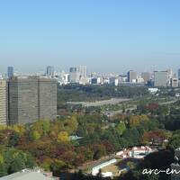 秋の東京・日比谷界隈を散策★THE BLOSSOM HIBIYA（ザ ブラッサム 日比谷）