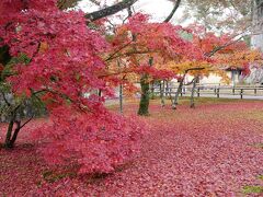 2022年11月/奈良・京都一人旅③京都