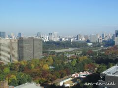 秋の東京・日比谷界隈を散策★THE BLOSSOM HIBIYA（ザ ブラッサム 日比谷）