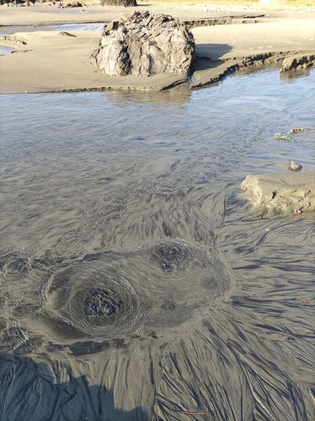 酒井家庄内入部400年☆山形県最北端・鮭と湧水の遊佐町で〈湧水巡り～十六羅漢岩/釜磯海岸〉