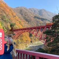 犬連れ旅行・富山県／宇奈月湖／スターバックス富山環水公園店／ホテルコンフォート富山駅前店／氷見うどん