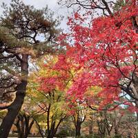 金沢の紅葉に間に合いました！初香箱蟹も満喫。うん十年ぶりの金沢旅二泊三日