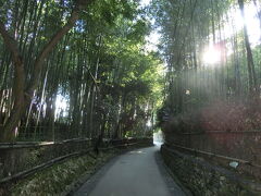 実は初めての京都歩き。まずはベタに攻めてみましょうかの京都旅。
