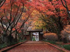 佐野の旅行記