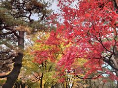 金沢の紅葉に間に合いました！初香箱蟹も満喫。うん十年ぶりの金沢旅二泊三日