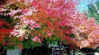 秋の琵琶湖一周２泊３日　紅葉三昧　３日目