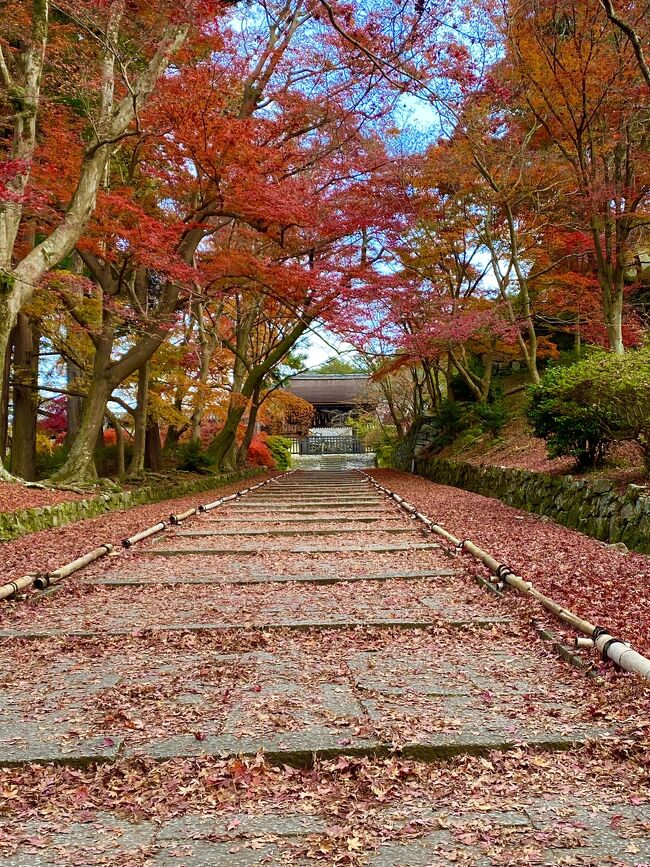 京都紅葉狩り4日目：毘沙門堂から開始