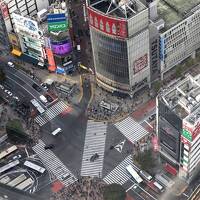 日本初上陸のキンプトン！新宿の真ん中でマンハッタン流ホテルステイを楽しむ♪SHIBUYA SKYとMIYASHITA PARK