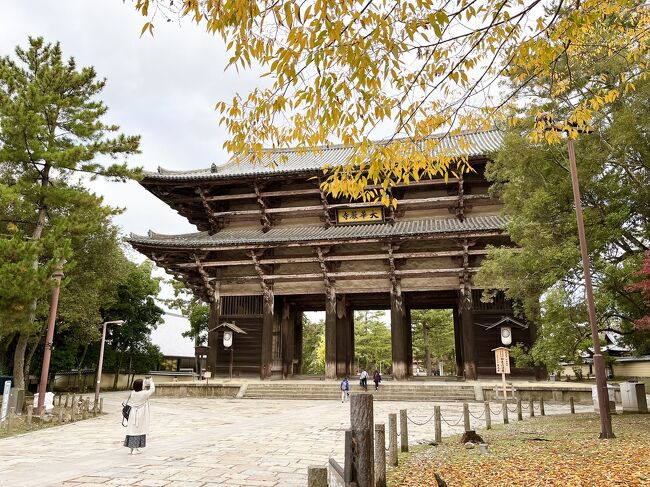 日生でカキオコを食べたら、奈良へ向かいます。<br /><br />毎年奈良へ紅葉の時期に行っています。<br />だいぶ主要な観光地は巡り、マニアックな場所にも行ったので、今回は特に予定を立てずにとりあえず宿だけとりました。