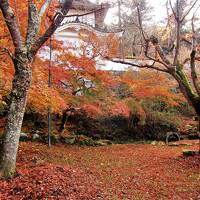 豊岡・出石　ひょうごを旅しようキャンペーンで晩秋の但馬路をぶらぶらドライブ旅