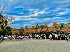 2022年秋:令和4年度千葉県中学校駅伝大会『柏の葉公園』及び『陸上競技場』娘の県大会の応援ついでに＆柏の葉T-SITE『蔦屋書店』夫婦で♪