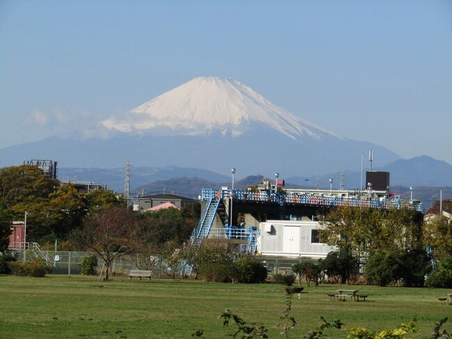 　今日は天気も良く、戸塚からも富士山が見えていたので、1時間ほど早く家を出ることが出来た。しかも、JR茅ヶ崎駅では電車の発車が3分ほど遅れて、待ち時間なしで乗り継げた。それにしても先発の電車に乗らないで隣の20分後の電車に乗り込んでいる人たちは何なのだ？<br />　「川とのふれあい公園」からは富士山が綺麗に見えている。さすがに日曜日ということで、野球やドッグランなどで多くの人が訪れており、これまでにはない賑やかさである。その野球場からは富士山が神川橋の橋上に見えるではないか？神川橋が富士山のビュースポットとなっていて左側に富士山が見えるというのは本当のようだ。<br />　しかし、グランド側のミニヒマワリが植えられた花壇まで来ると、富士山は神川橋の右側に現れ、およそ花壇の前方に見える。また、ミニヒマワリの日に日に開花が進んで来ており、2つある花壇のうち、1つはほぼ見頃になっている。富士山をバックにミニヒマワリを写真に撮るには絶好の日である（https://4travel.jp/travelogue/11794380）。<br />　帰り際、土手を上って来た中年男性から「ヒマワリ畑があると聞いたのですが、どこでしょうか？」と尋ねられた。「土手下のそこの植え込みの陰です。」と教えてあげた。どこでこの富士山のビュースポットにヒマワリが植えられていることを知ったのであろうか？それにしても運が良い人だ。私は今日の富士山とミニヒマワリの光景を見るために4度も訪れているからだ。<br />（表紙写真は「川とのふれあい公園」から見える富士山）