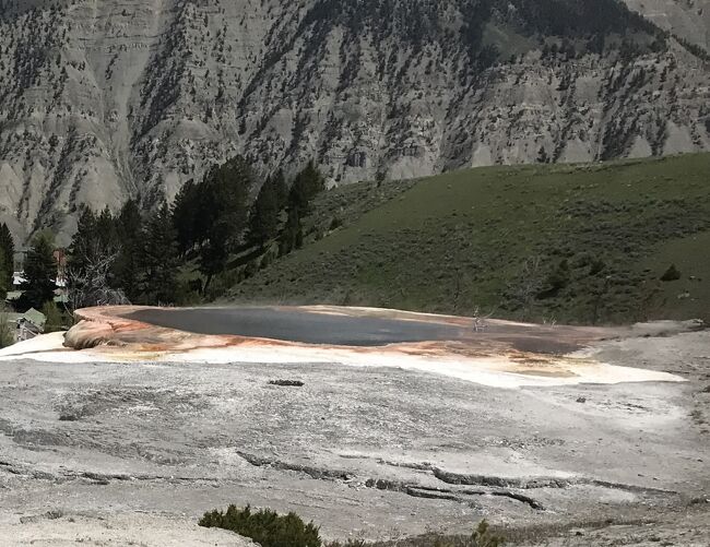 マンモスホットスプリングスのトレイルも終点まで登りましたので、下山します。後半は往路で通らなかった大回りでパレットスプリングを見おろせるルートを行きます。