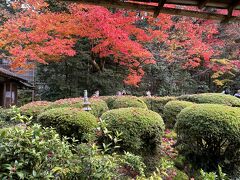 京都の紅葉（東福寺　詩仙堂　圓光寺　曼珠院跡　下鴨神社　伏見）