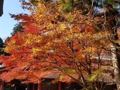 ふらっと比叡山延暦寺へバスツアーで行ってみました