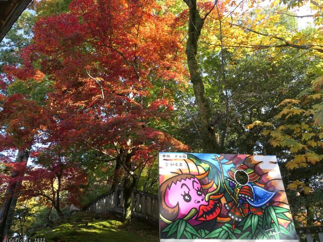 栃木県佐野市の「唐沢山」へ、紅葉を見に行きました。一部の木では色付きが進んでいましたが、全体的には未だ緑が多く、グラデーションの綺麗な部分もありましたが、まだ”見頃直前”の印象でした。<br /><br />唐沢山は、佐野市の市街地から北へ、５kmほどのところにあり、戦国時代には佐野氏の「唐沢山城」がありました。城跡には石垣が残っており、現在は「唐沢山神社」があります。山上には駐車場があり、南からは県道141号線、西からは県道115号線で上がることが出来ます。