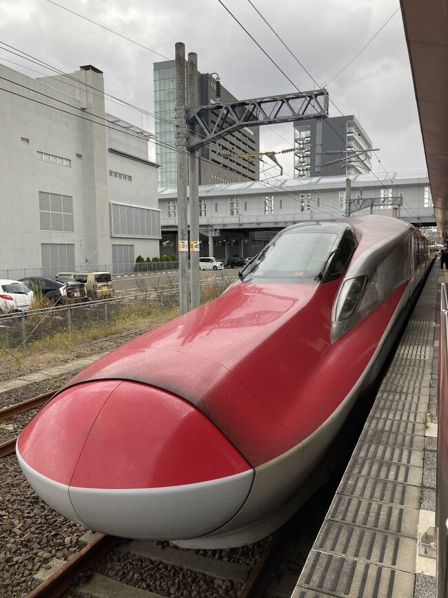 今回は、JR東日本の大人の休日倶楽部の東日本パスを利用して旅に行きました！<br />4日間で15,270円。青森から伊豆くらいまで行くことができて新幹線もOK^ ^6回分の普通車指定席が利用できます。<br />それなら一番遠い新青森まで行こう！と旅してきました～＼(^o^)／