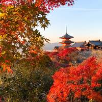 紅葉の京都・姉妹旅【Part2】嵐山トロッコ列車・常寂光寺・清水寺・祇園界隈