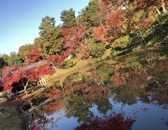 京都・奈良・兵庫・滋賀の１０の紅葉名所をワイドにめぐる⑦2日目の3　高台寺