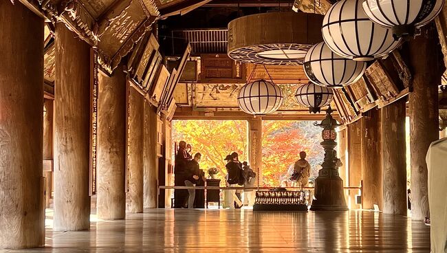 今回は古い友人数名で、奈良県を旅しました。<br />JR奈良駅で合流し、駅前でレンタカーを調達して、初日に訪れたのは紅葉時期の長谷寺です。その日はかくれ里の宿、森の交流館に宿泊しました。<br />翌日は最初に高松塚古墳に行き、次は飛鳥寺を訪ねました。<br />その後は東大寺、興福寺を回って、JR奈良駅で解散しました。