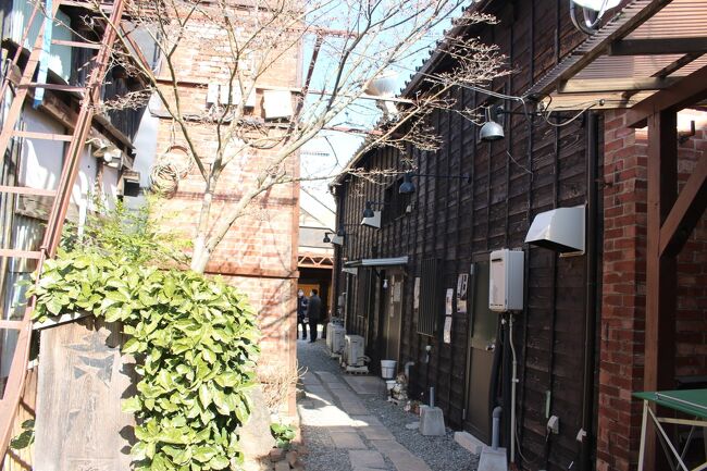 【中山道】9　深谷は渋沢栄一とネギだけじゃない素敵な街でした　（9番深谷宿）深谷～本庄