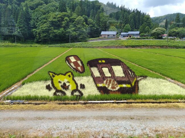 秋田夏旅1日目-秋田内陸縦貫鉄道、田んぼアート、秋田犬の里-