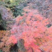 寒霞渓で紅葉刈　―小豆島２日間の旅