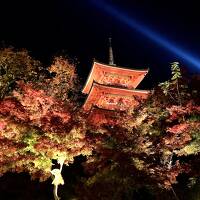 4トラ活動再開記念！？紅葉の京都へ！1日目は町家のステキなお宿と清水寺ライトアップ♪