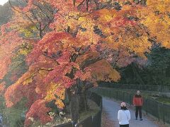秋のとくべつ公開　山科疎水沿いの安祥寺