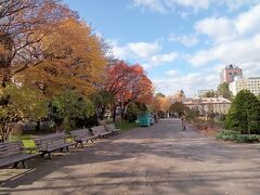 今年も見事な紅葉です。札幌街中紅葉散歩