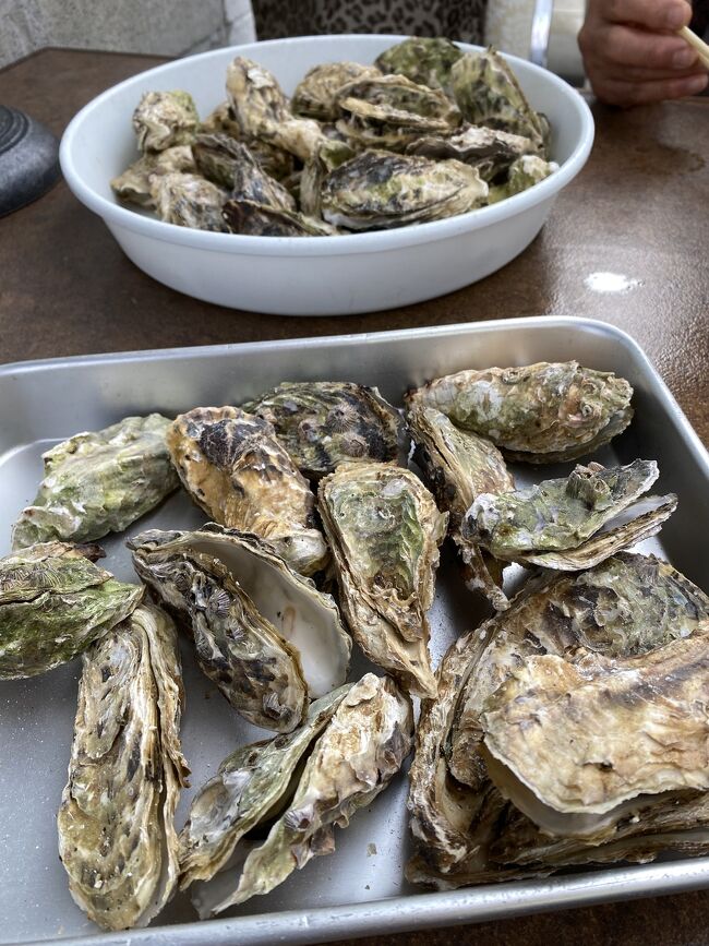 鳥羽元牡蠣養殖場で焼き牡蠣と蒸し牡蠣の食べ放題と伊勢神宮参拝