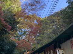 ひょうごさんぽ　　「こうじんさん」清荒神清澄寺　史料館へ。紅葉、澄んだ空気と、参道と。